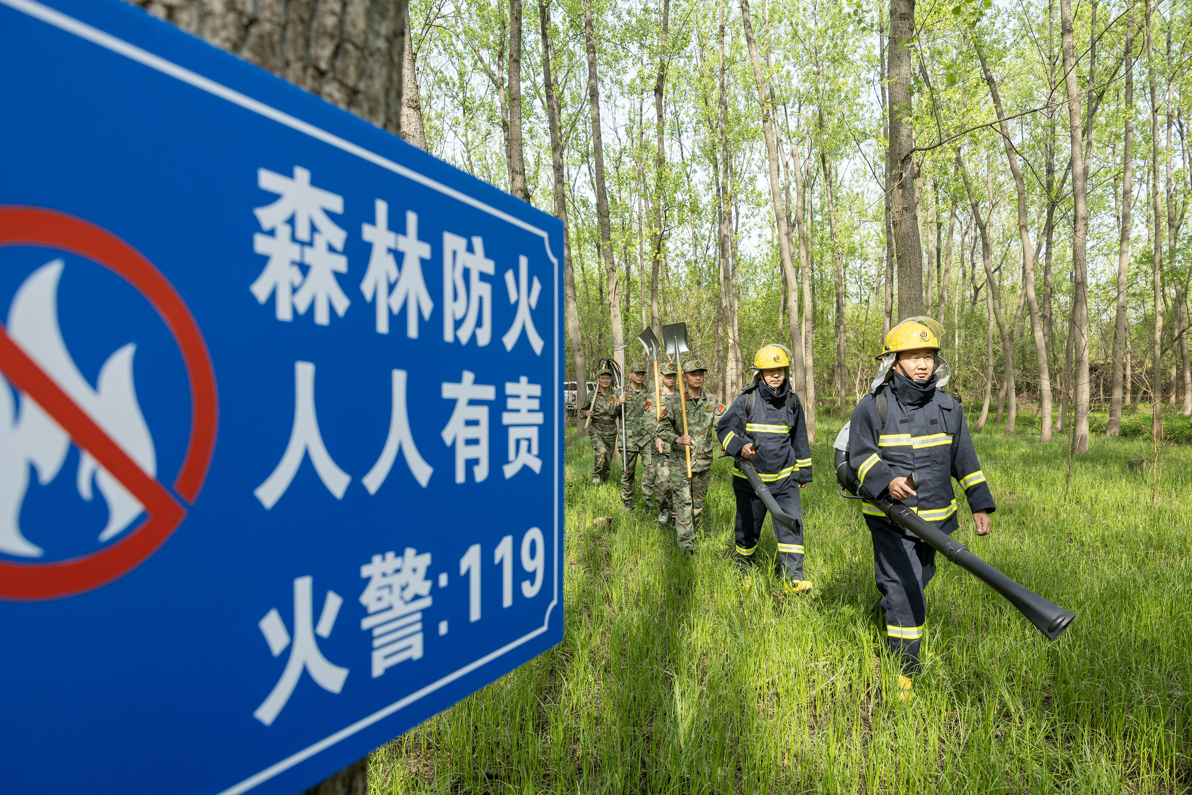 2024年4月9日，合肥市大房郢水庫水源保護地廬陽經(jīng)濟開發(fā)區(qū)段，基干民兵正在林間巡查火災隱患。