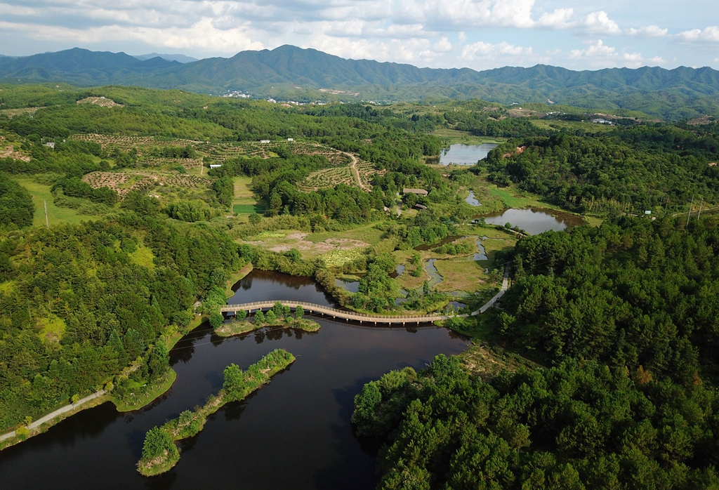 福建省龍巖市長汀縣的長汀汀江國家濕地公園景色（2020年7月28日攝，無人機照片）。新華社記者 魏培全 攝