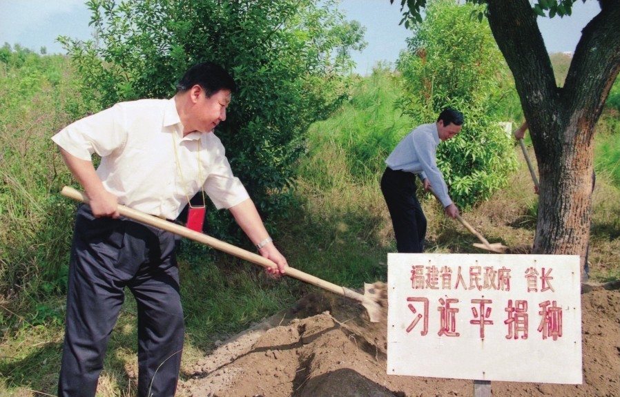 2001年10月，習近平在龍巖市長汀縣調(diào)研水土流失治理工作，在河田世紀生態(tài)園為樹培土。圖源：《習近平在福建（下）》