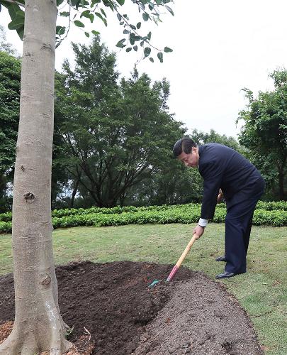 2012年12月7日至11日，習(xí)近平在廣東省考察工作。這是8日上午，習(xí)近平在深圳蓮花山公園種下一棵高山榕樹。新華社記者 蘭紅光 攝